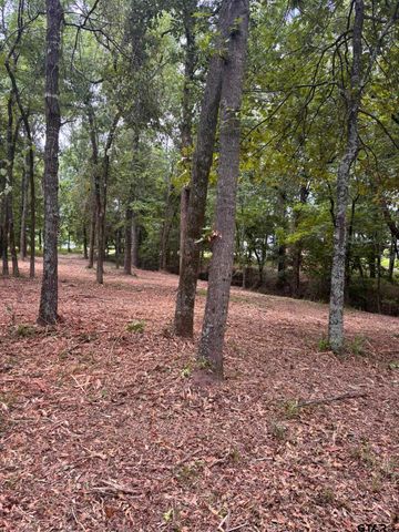 TBD CR 1503, Alba, TX 75410
