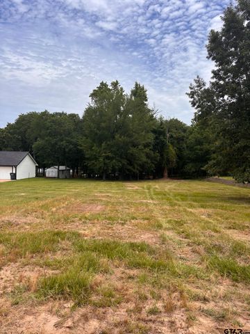 TBD CR 1503, Alba, TX 75410