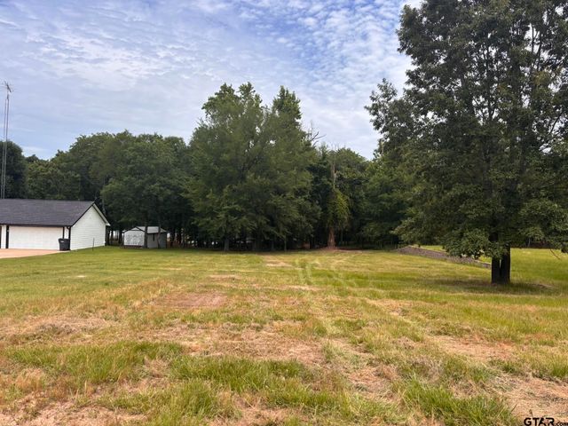 TBD CR 1503, Alba, TX 75410