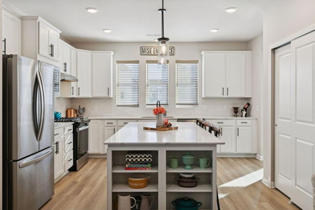 15008 Athgoe Drive, Rosemount, MN 55068