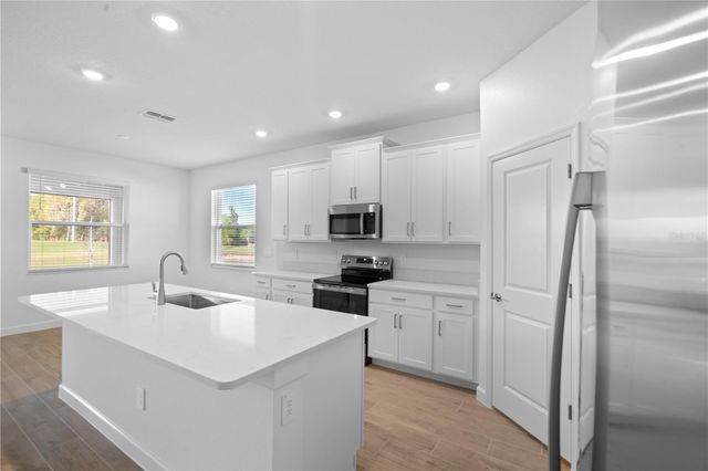 31740 GRIFFIN SANDS LANE, San Antonio, FL 33576