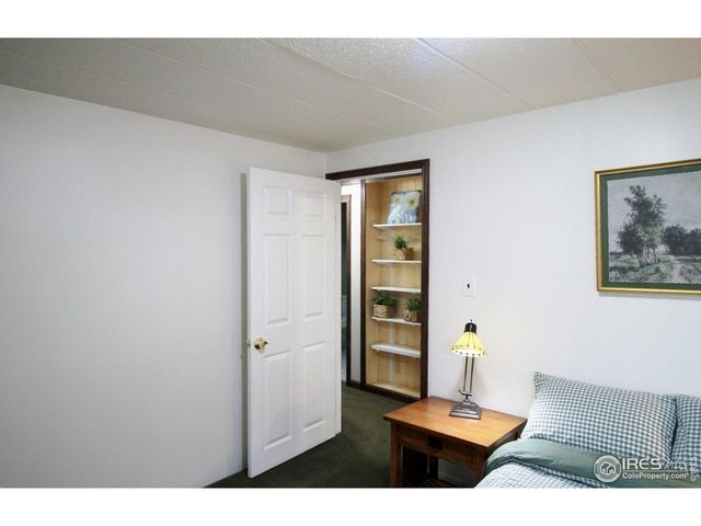 3749 Boxelder Ct, Wellington, CO 80549