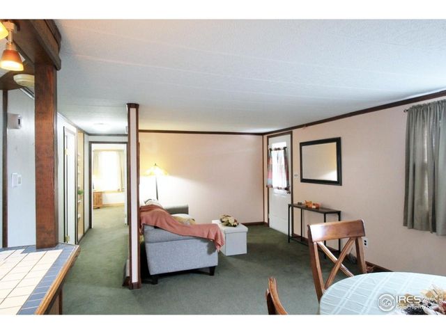 3749 Boxelder Ct, Wellington, CO 80549