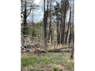 986 Levy Pl, Fort Garland, CO 81133