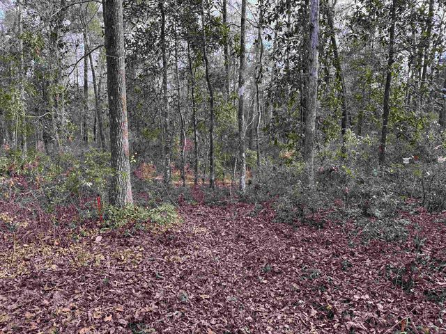 Jomaureen Way, Tallahassee, FL 32309