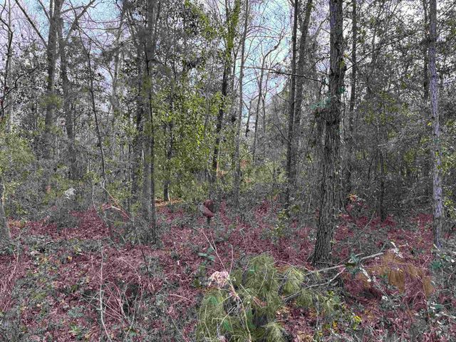 Jomaureen Way, Tallahassee, FL 32309