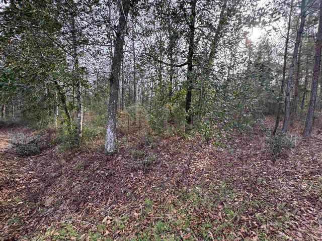 Jomaureen Way, Tallahassee, FL 32309