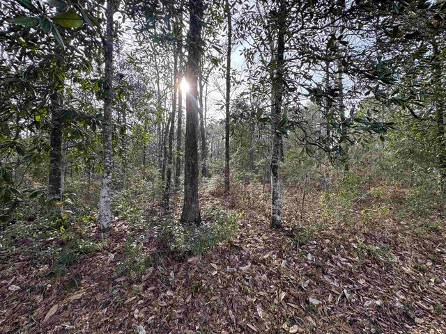 Jomaureen Way, Tallahassee, FL 32309