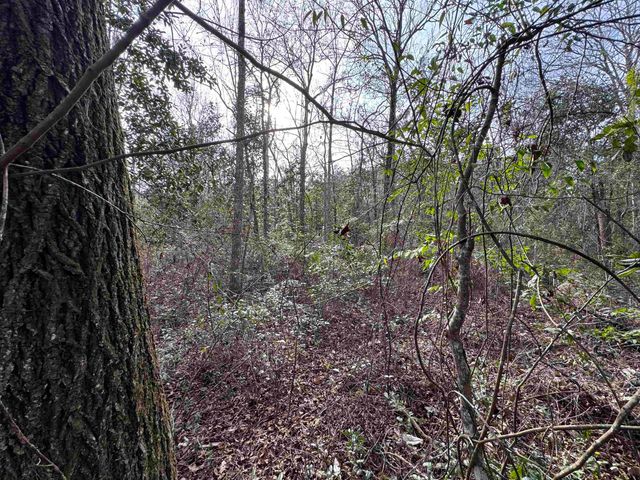 Jomaureen Way, Tallahassee, FL 32309