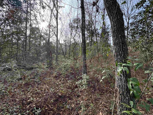 Jomaureen Way, Tallahassee, FL 32309