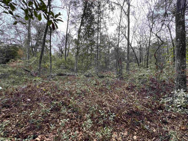 Jomaureen Way, Tallahassee, FL 32309