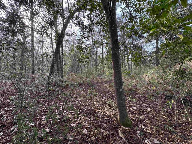 Jomaureen Way, Tallahassee, FL 32309