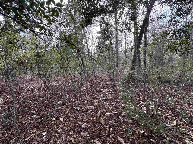 Jomaureen Way, Tallahassee, FL 32309