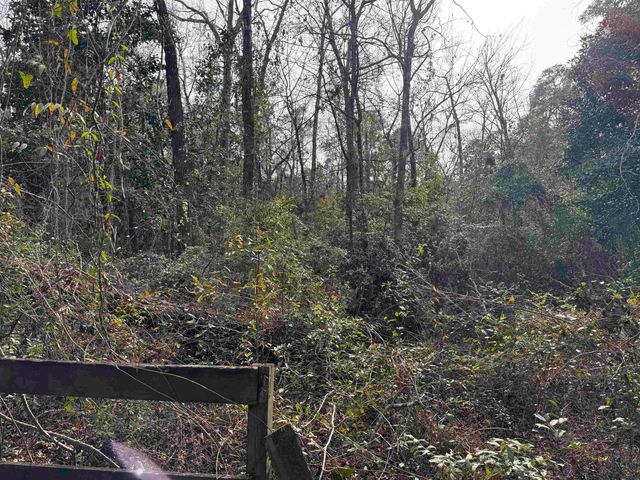 Jomaureen Way, Tallahassee, FL 32309