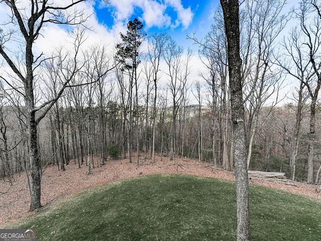 208 Weeks Drive, Ellijay, GA 30540