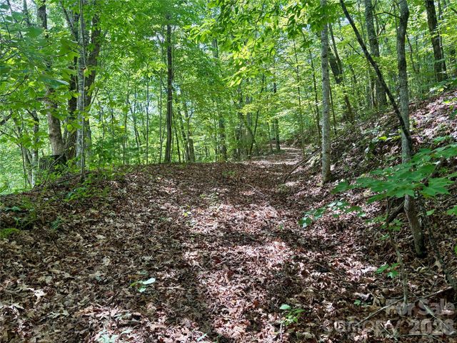 0 Watia Road, Bryson City, NC 28713