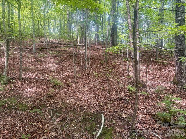0 Watia Road, Bryson City, NC 28713