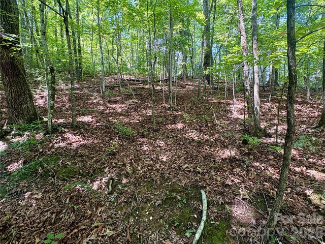 0 Watia Road, Bryson City, NC 28713