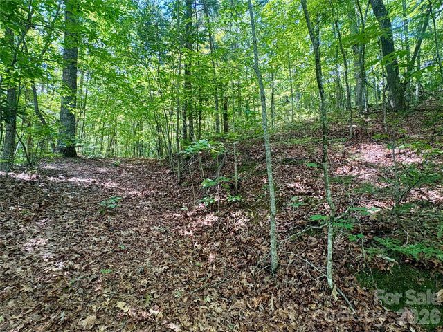 0 Watia Road, Bryson City, NC 28713