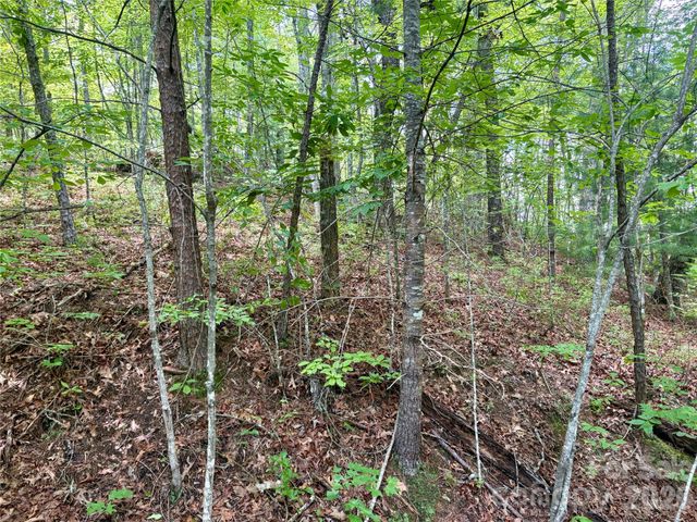 0 Watia Road, Bryson City, NC 28713