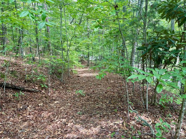 0 Watia Road, Bryson City, NC 28713