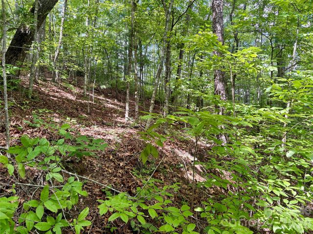 0 Watia Road, Bryson City, NC 28713