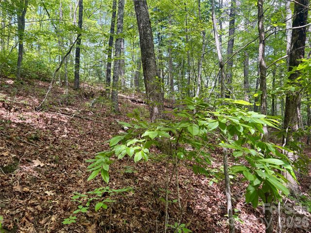 0 Watia Road, Bryson City, NC 28713