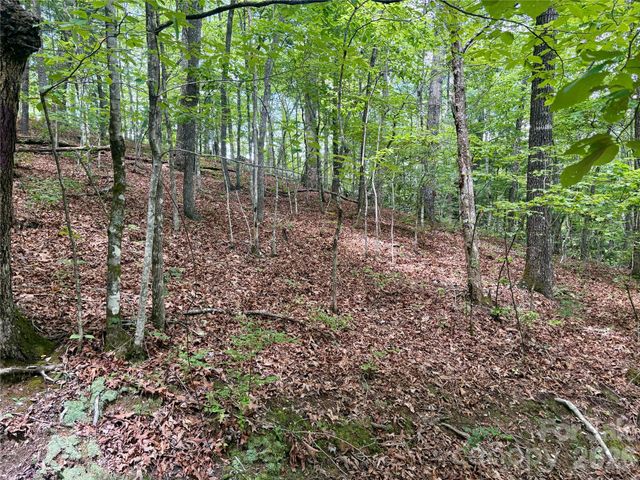 0 Watia Road, Bryson City, NC 28713