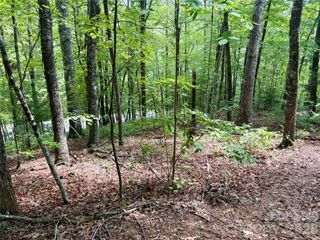 0 Watia Road, Bryson City, NC 28713