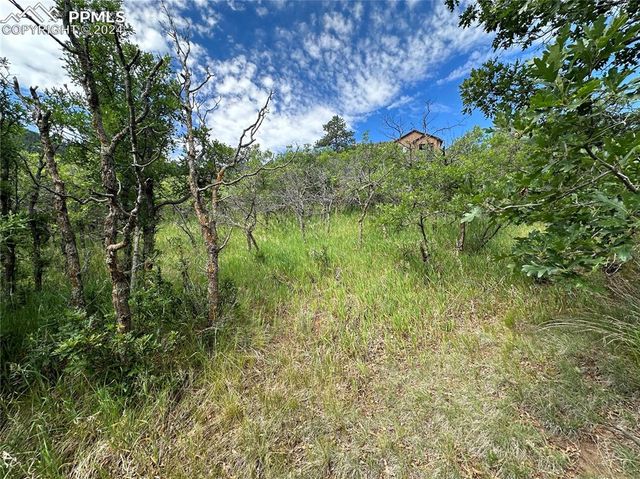 110 Crystal Park Road, Manitou Springs, CO 80829