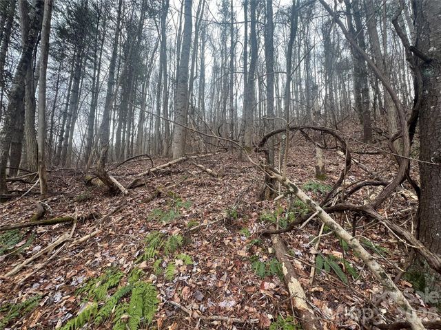 125 Lasso Lane 304, Waynesville, NC 28785