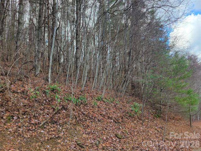 125 Lasso Lane 304, Waynesville, NC 28785