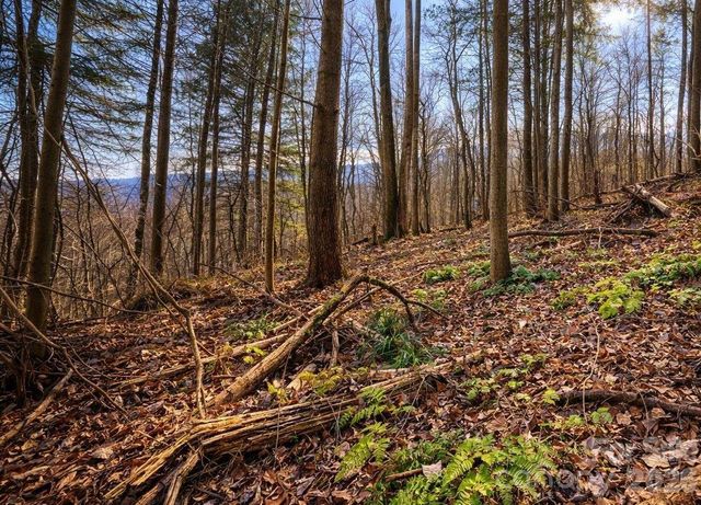 125 Lasso Lane 304, Waynesville, NC 28785