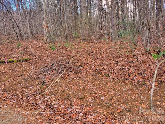 125 Lasso Lane 304, Waynesville, NC 28785