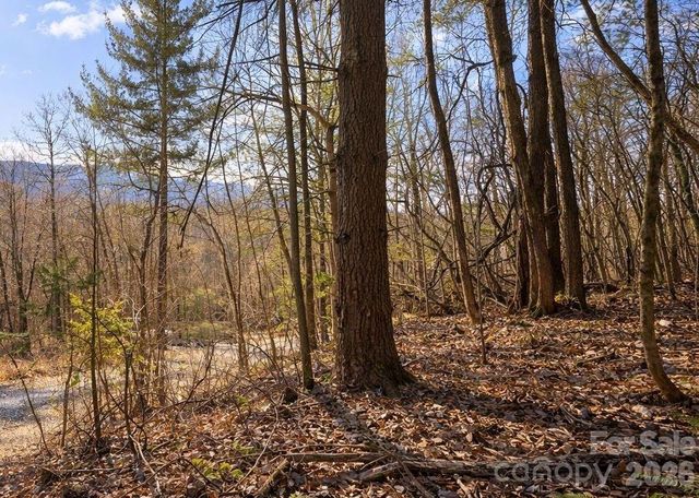 125 Lasso Lane 304, Waynesville, NC 28785