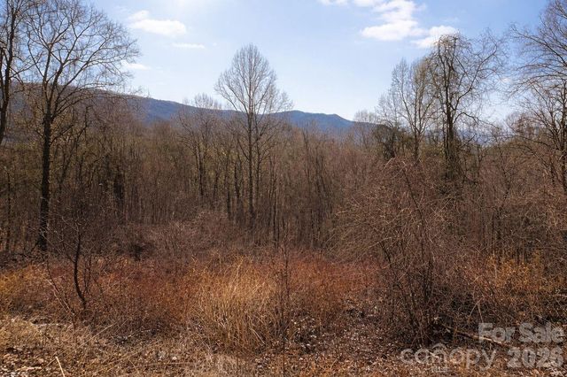 125 Lasso Lane 304, Waynesville, NC 28785