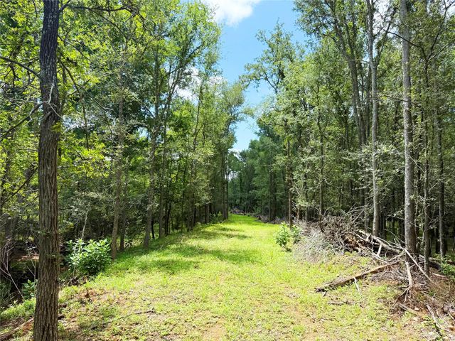 141 Grassyville RD, Paige, TX 78659