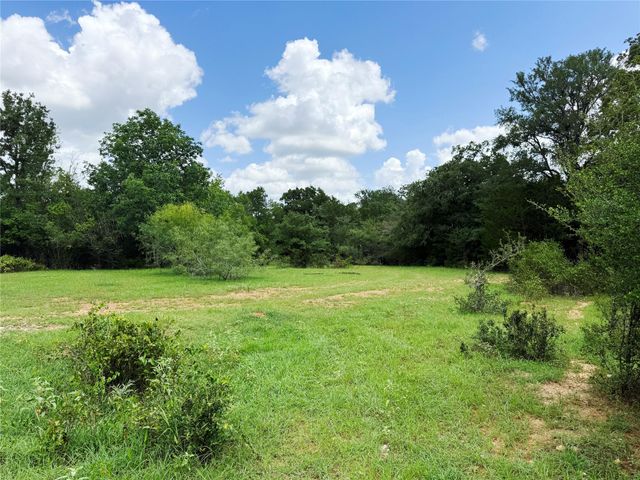 141 Grassyville RD, Paige, TX 78659