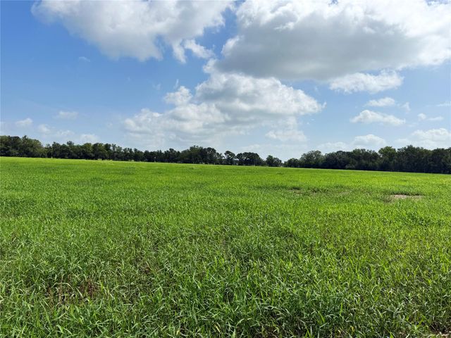 141 Grassyville RD, Paige, TX 78659