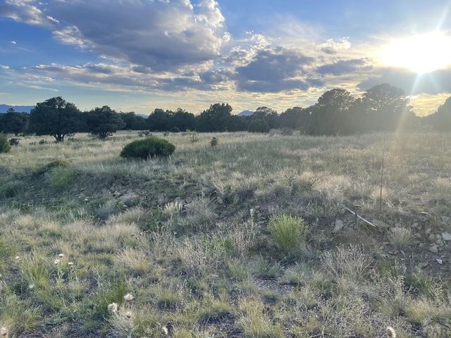 L6 B7 Rocky Mountain Dr, Walsenburg, CO 81089