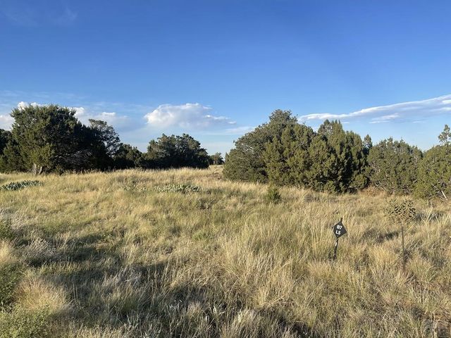L6 B7 Rocky Mountain Dr, Walsenburg, CO 81089