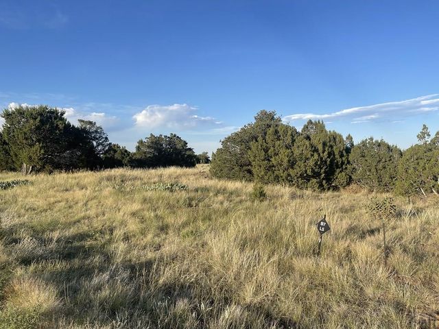 L6 B7 Rocky Mountain Dr, Walsenburg, CO 81089