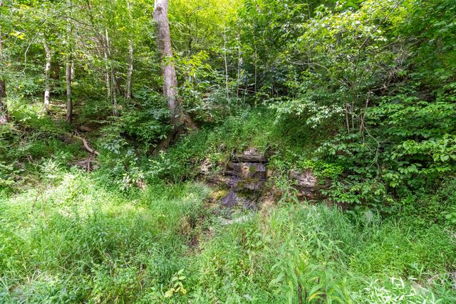 1245 Bridge Hollow Road, Somerset, KY 42503