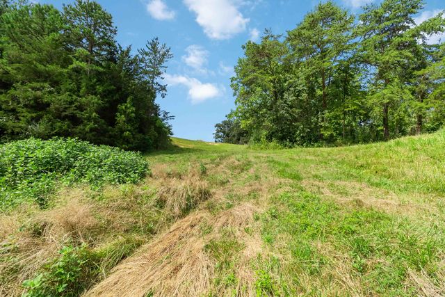 1245 Bridge Hollow Road, Somerset, KY 42503