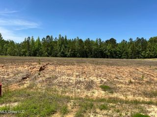 39 Deerwood Drive, Lake Cormorant, MS 38641
