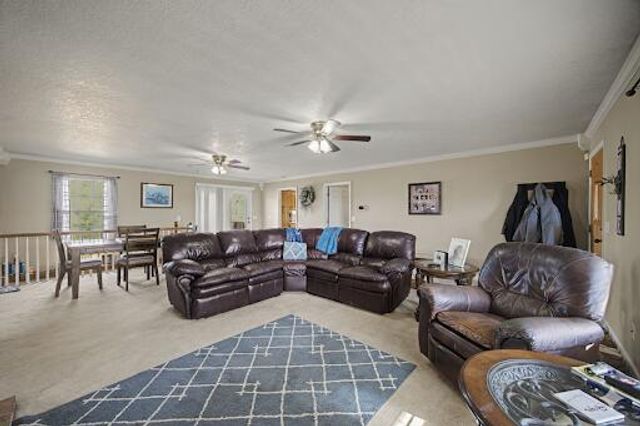 3911 County Road 131, Bryant, AL 35958