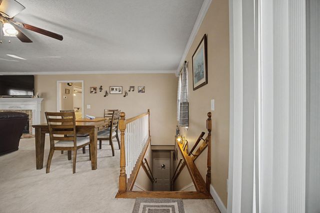 3911 County Road 131, Bryant, AL 35958