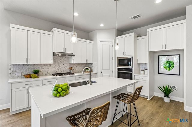 310 Prickly Poppy Loop, Kyle, TX 78640