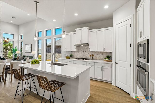 310 Prickly Poppy Loop, Kyle, TX 78640