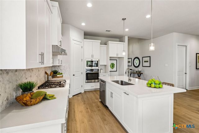 310 Prickly Poppy Loop, Kyle, TX 78640